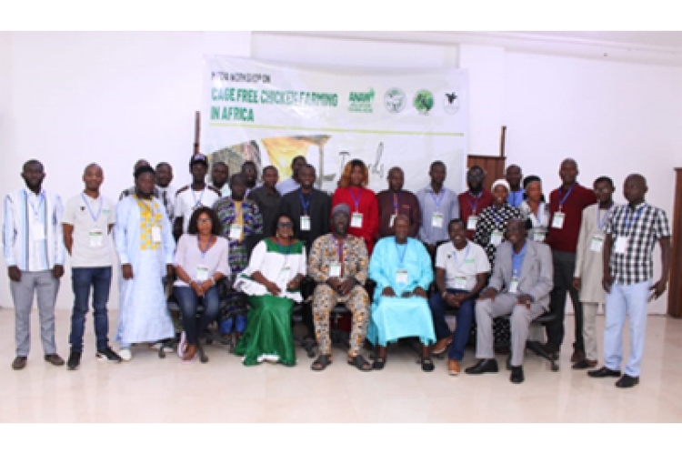 Group Photo: Participants Pose for a Photo During the Cage-free Media Workshop, in Banjul City, The Gambia