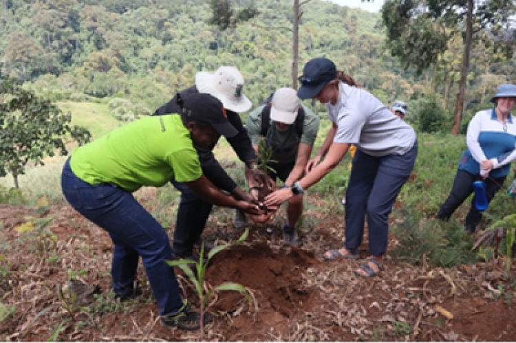 Denver Students, Faculty and ANAW Staff Planting Trees at Kereita Forest