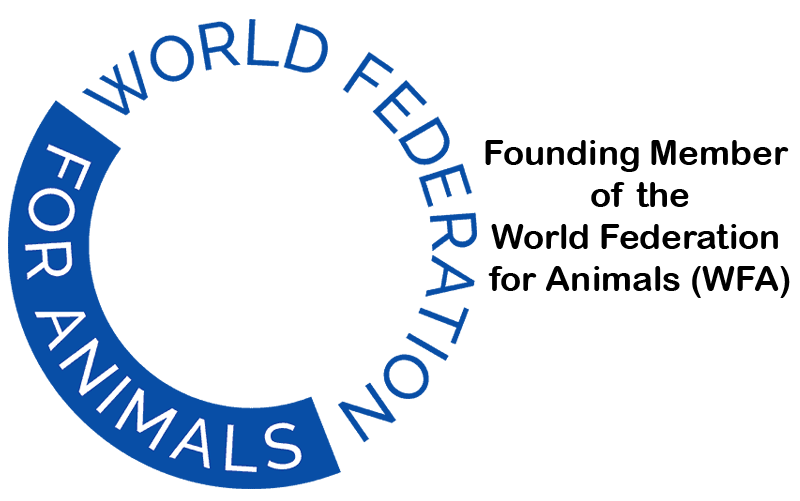 Logo-WFA