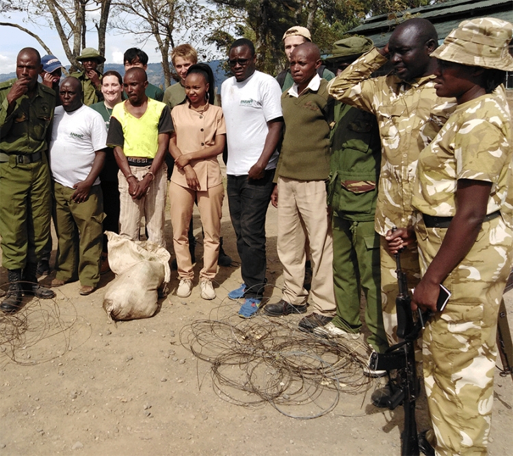 Man nabbed with 208kg zebra meat arraigned in Nakuru court