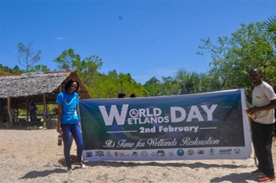 Turtle Conservation and Celebration of World Wetlands Day