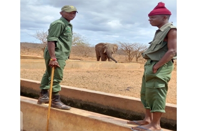 Kasigau Guardians Monitoring: Human Activities on the Increase in the Expansive Ranch